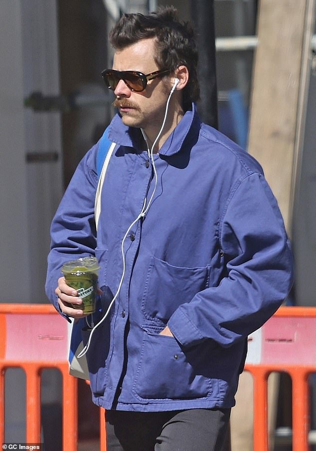 Harry Styles’ staggering comeback plans revealed: From saucy liaisons to secret getaways, insiders tell JENNIFER RUBY exactly what the star has been up to, his next move… and why bosses are unhappy with him