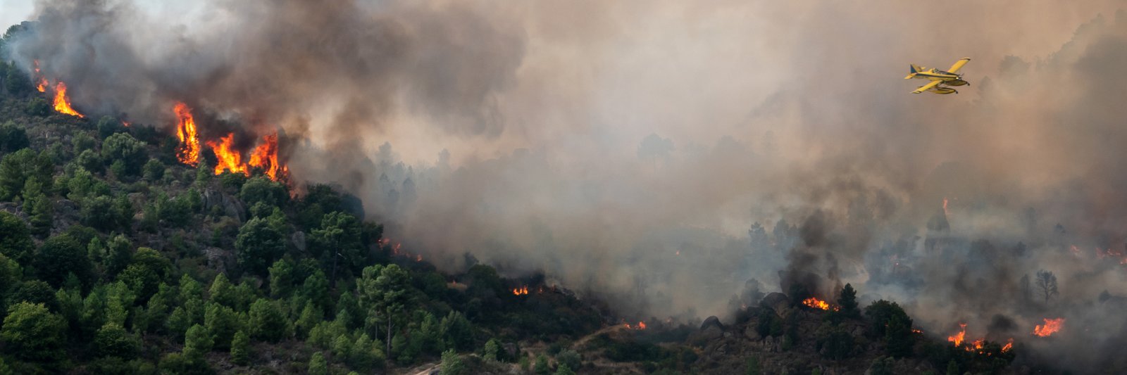 Spain: from below average to record wildfire emissions in just one week