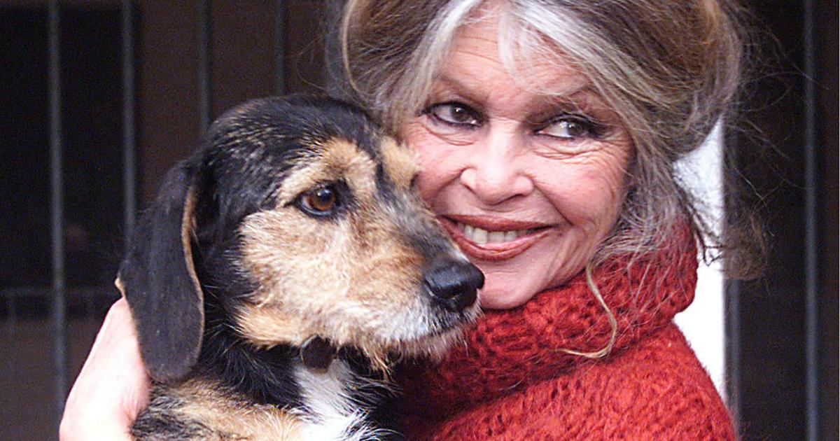 Brigitte Bardot, une seconde vie au service de la cause animale