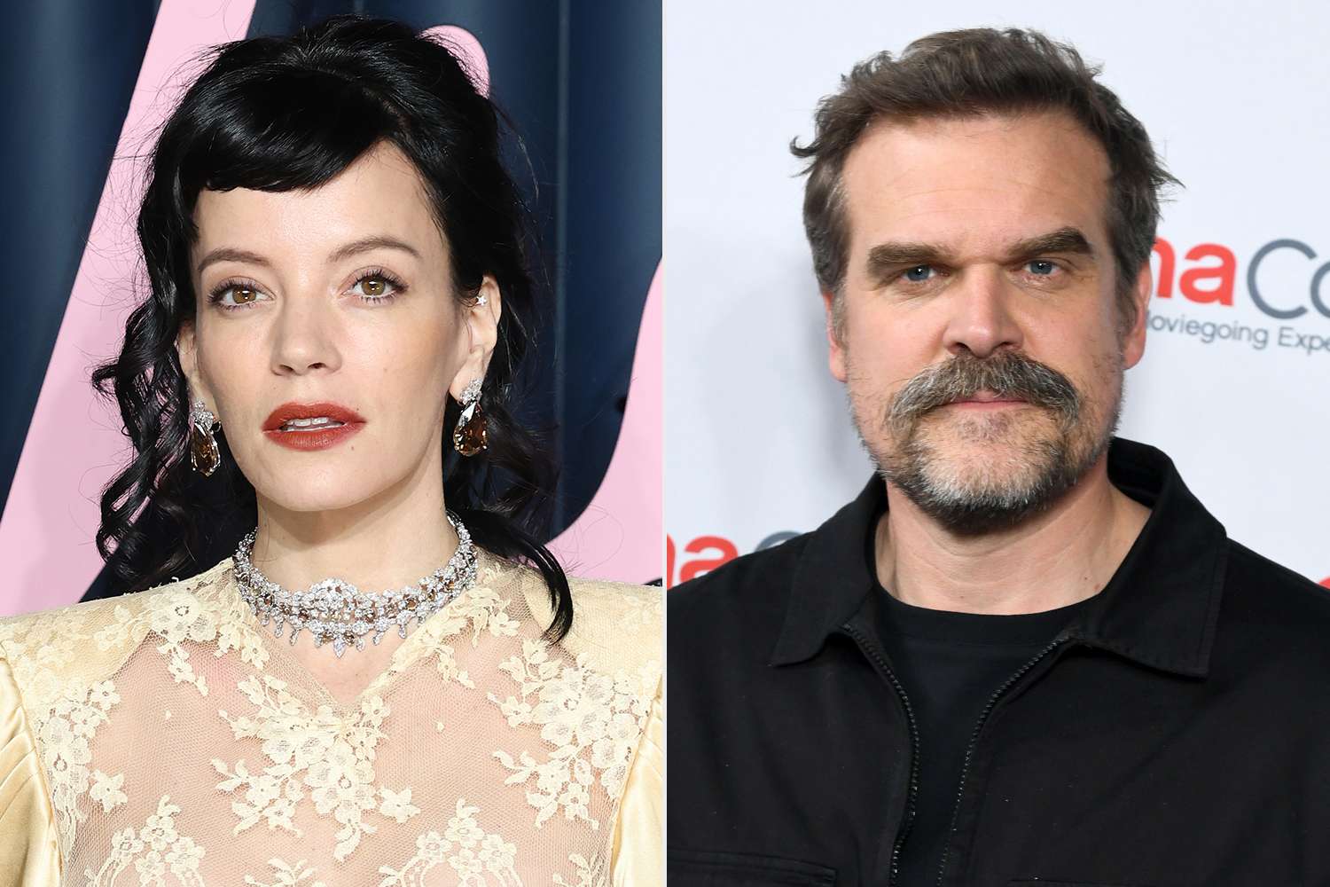 Lily Allen Understands ‘Pain’ She May Have Caused in First Marriage After David Harbour Split