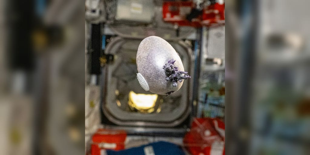 NASA astronaut posted a photo on social media of a bizarre object growing in space