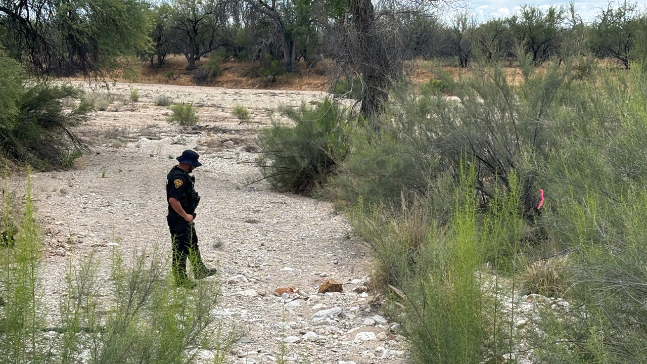 Prehistoric remains found near Nancy Guthrie home unrelated to her case