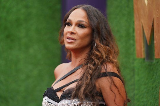 Will Smith’s Ex-Wife Sheree Zampino Sues Over Sexual Claims, According to Filing