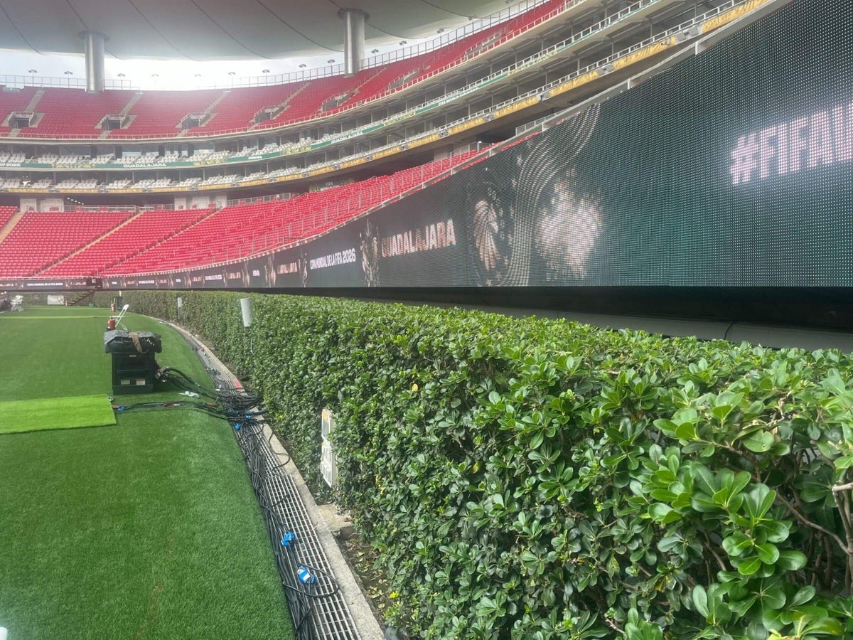 Why hedges surround one World Cup pitch at Estadio Akron