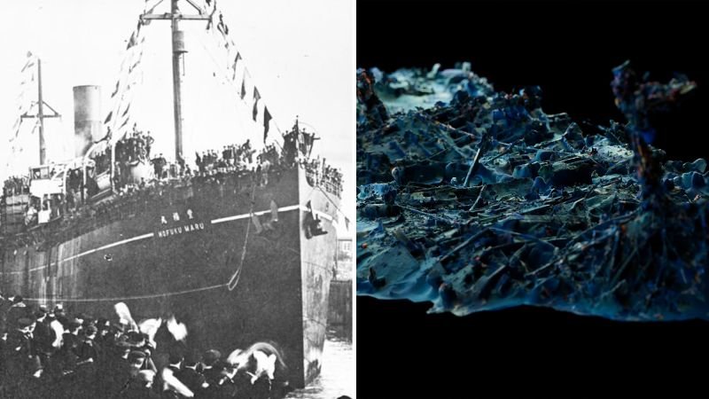 Shipwreck discovery reveals ‘vital history’ of WWII hell ships