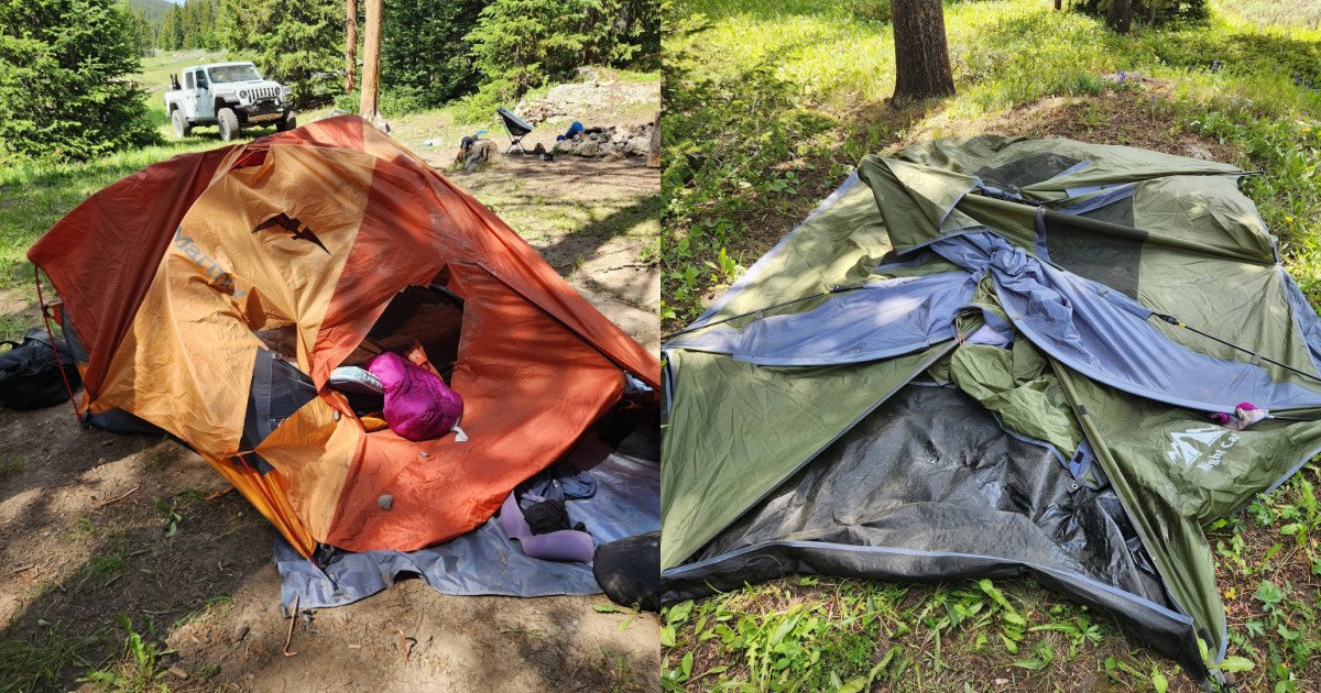 Black Bear Attacks Two Women in Tents