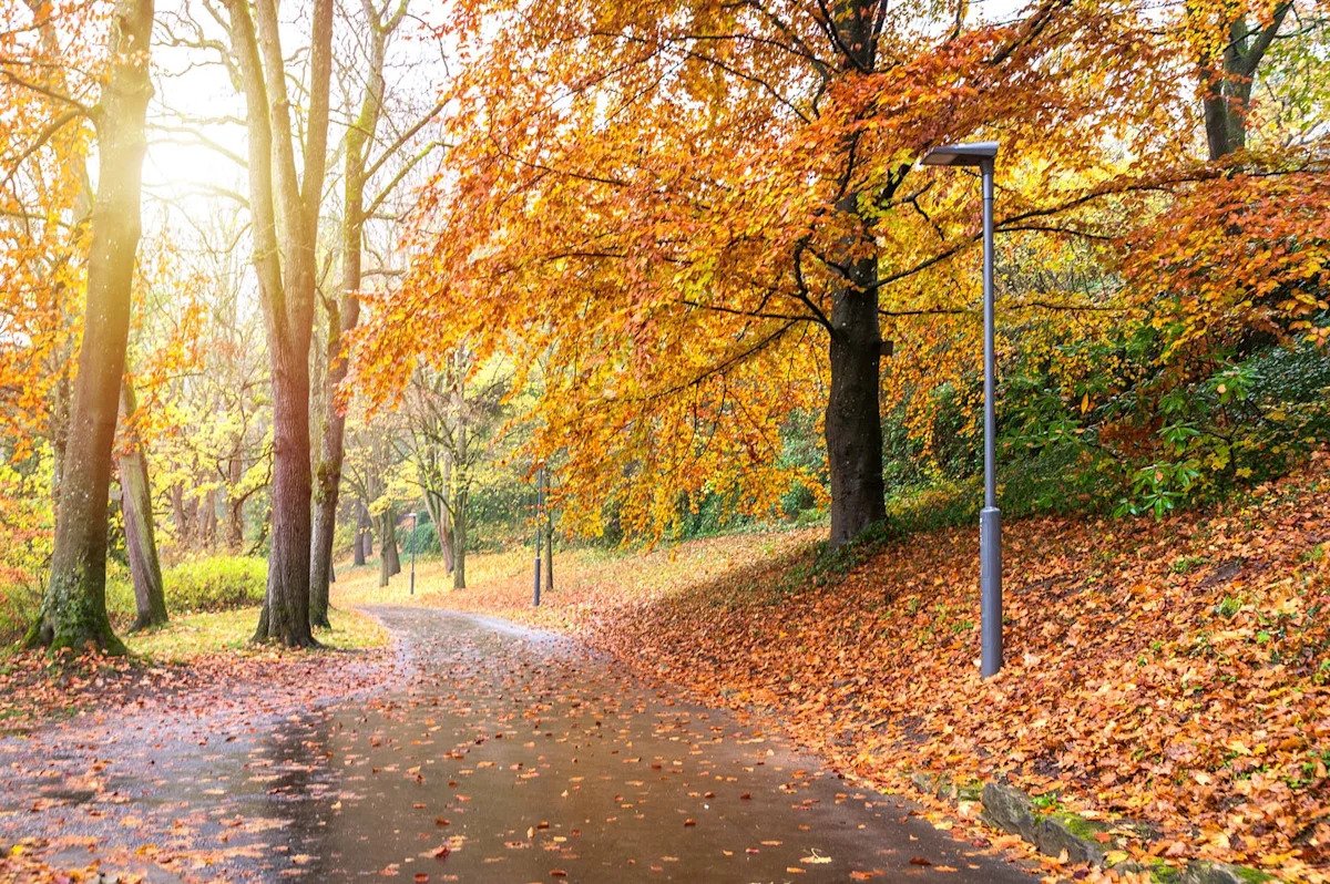 ‘The Old Farmer’s Almanac’ Just Released Its Fall 2026 Forecast—Here’s What It Predicts Where You Live