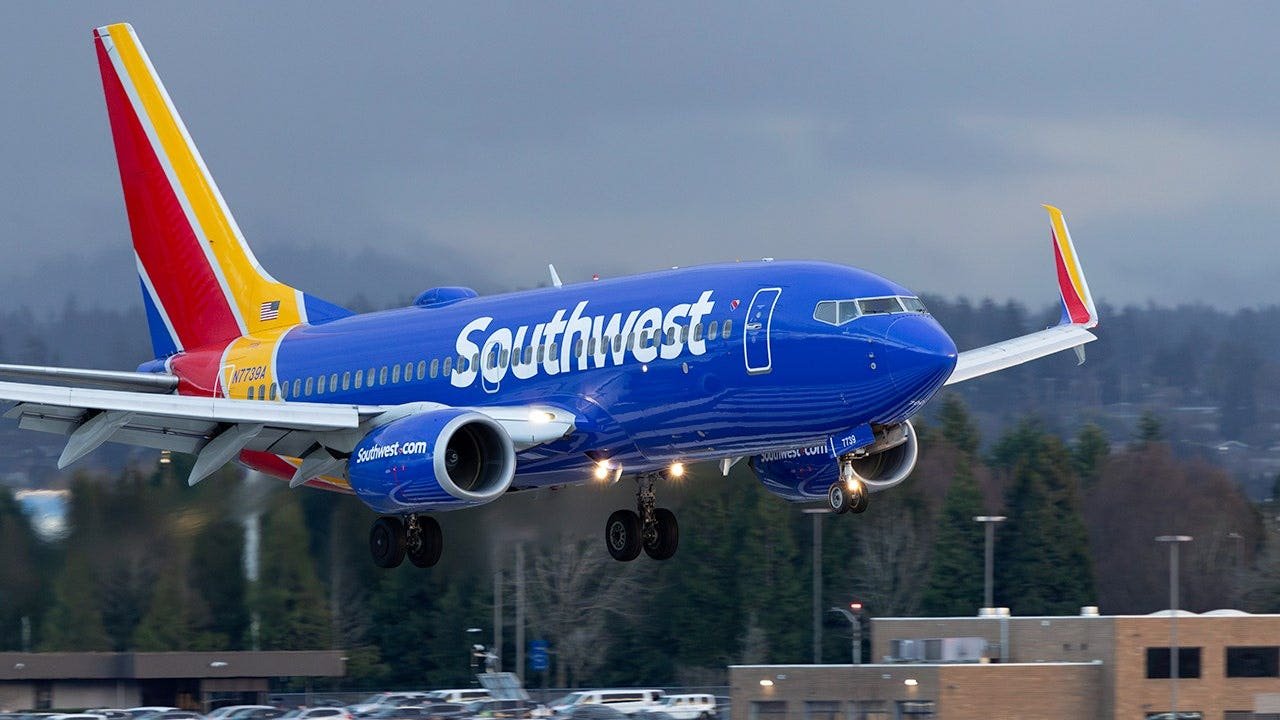Southwest Airlines flight attendant arrested by ICE for visa overstay