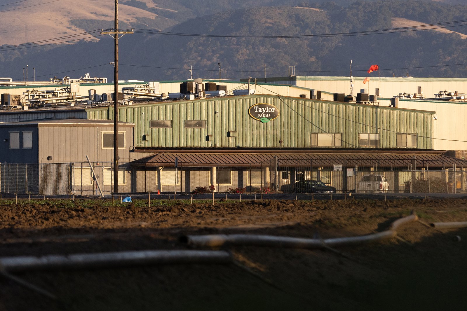 Embattled Taylor Farms accuses ex-president in $32M fraud scheme