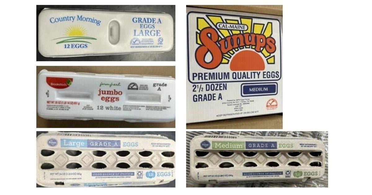 7 Louisianans sick with Salmonella in multi-state egg recall | Health care/Hospitals